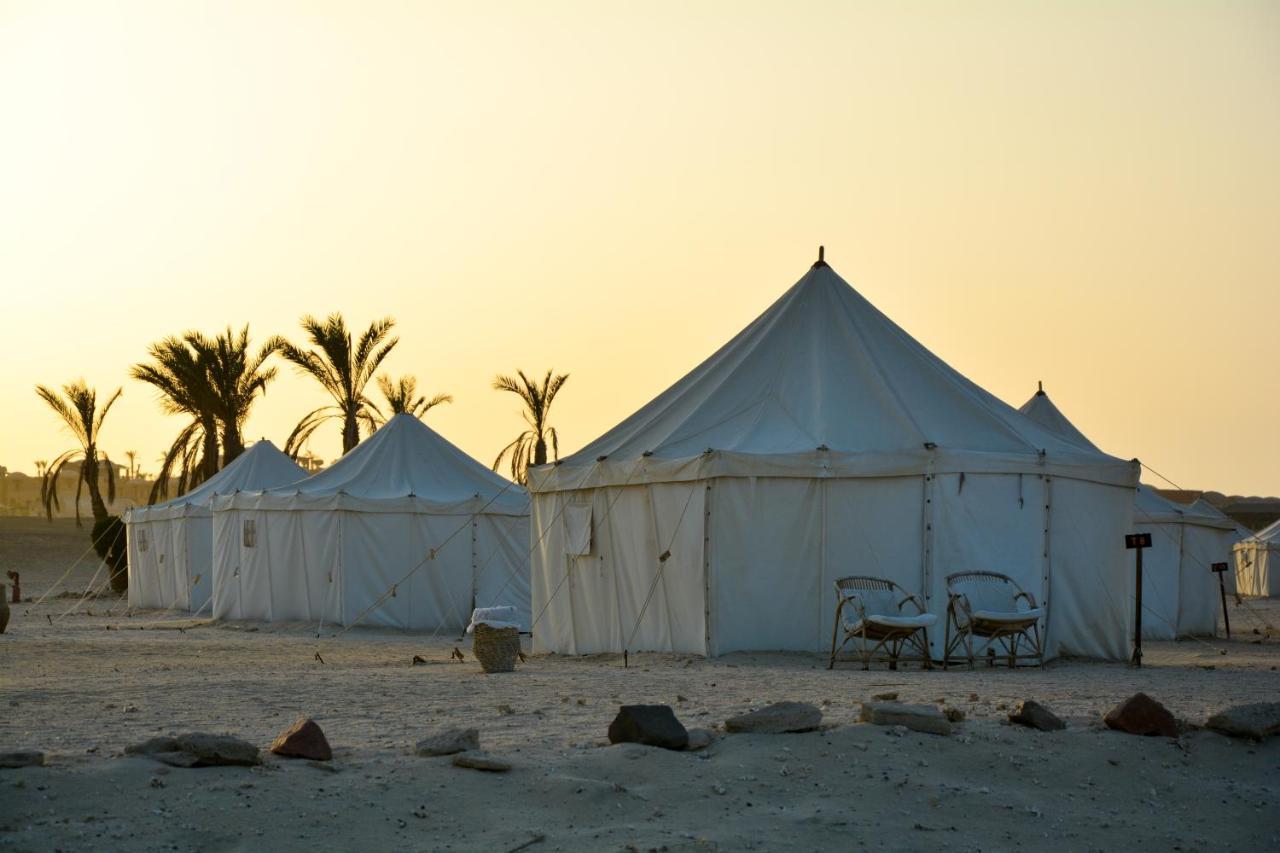 Marsa Shagra Village Abu Dabbab Dış mekan fotoğraf