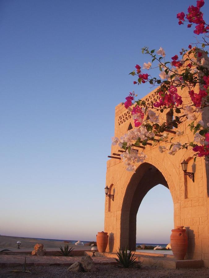 Marsa Shagra Village Abu Dabbab Dış mekan fotoğraf